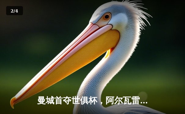 曼城首夺世俱杯，阿尔瓦雷斯闪耀决赛加冕四冠王 - 2