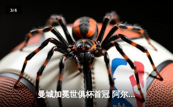 曼城加冕世俱杯首冠 阿尔瓦雷斯双响荣膺MVP - 3